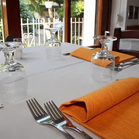 Edera マルチャーナ