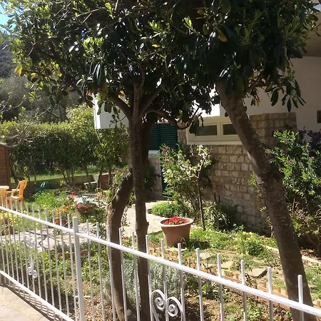 Hotel Edera 3*