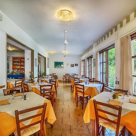 Edera Marciana (Isola d'Elba)