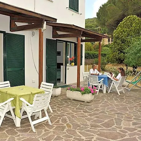 Edera 3*