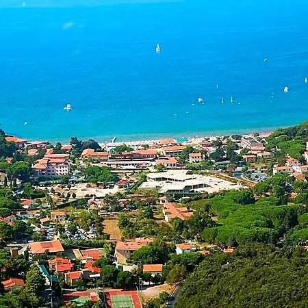 Edera