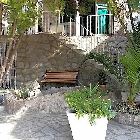 Edera 3*