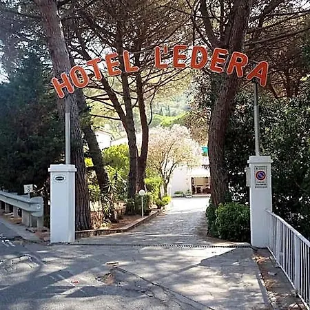 Отель Edera