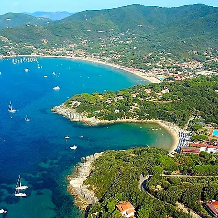 Edera