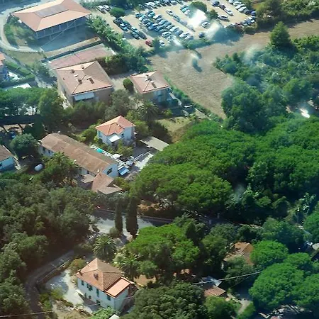 Edera Marciana (Isola d'Elba)