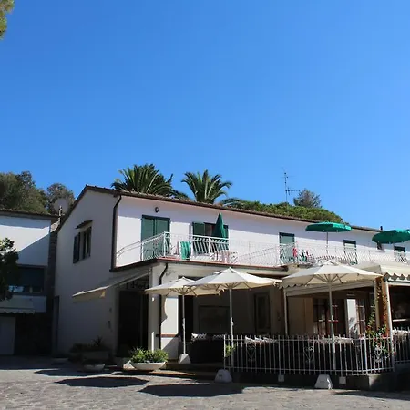 Edera Marciana (Isola d'Elba)