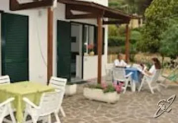 Edera Marciana (Isola d'Elba)