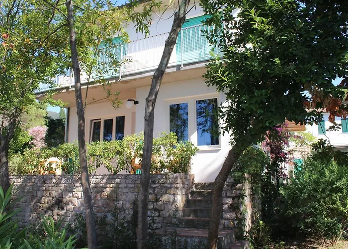 Edera Marciana (Isola d'Elba)