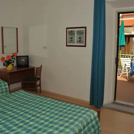 Edera 3*