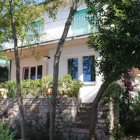 Edera Procchio (Isola d'Elba)